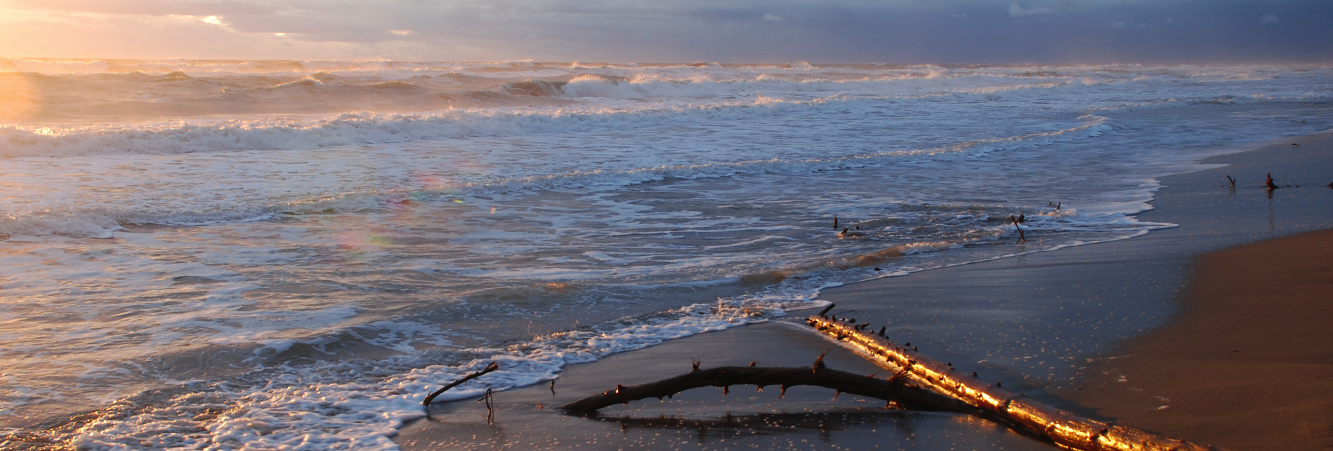 Maremma Sea
