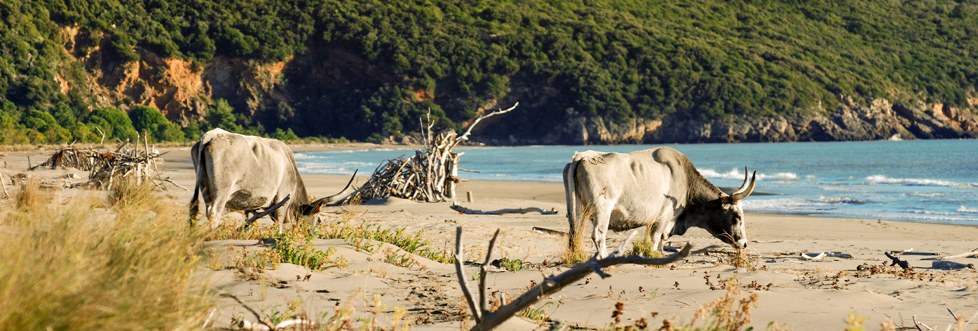 Maremma Nature