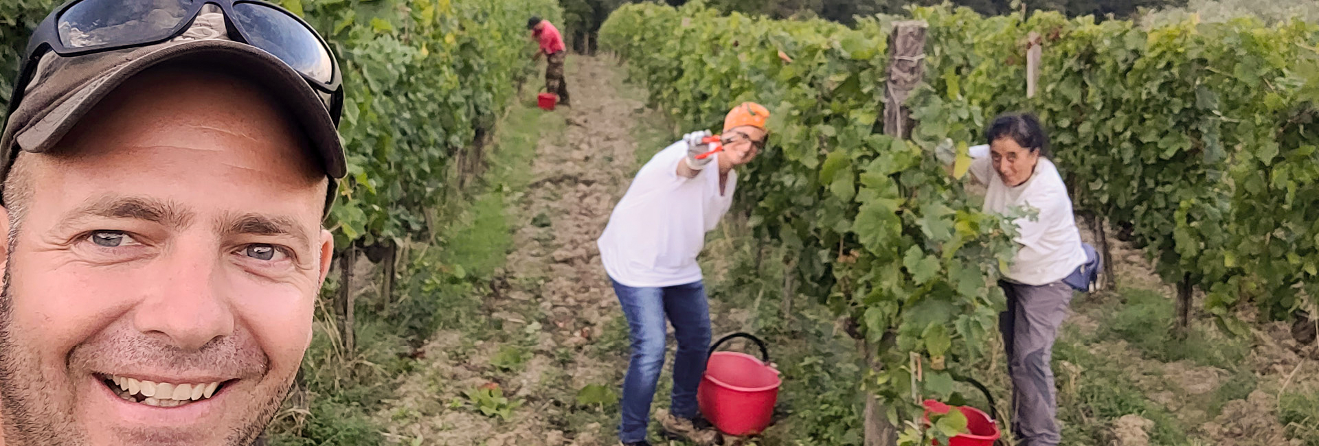 Querciabella vintage 2022